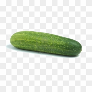 Single Cucumber Png Photo - Khira Vegetable In English Clipart
