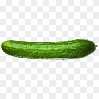 Cucumber Png Image - Cucumber With No Background Clipart