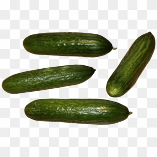 Free Png Images - Cucumber Clipart