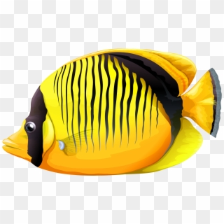Tropical Fish Clipart Realistic - Butterfly Fish Png Transparent Png