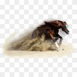 Png For - Western Horse Png Clipart