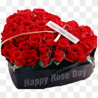 Happy Rose Day Png Image - Download Happy Rose Day Clipart