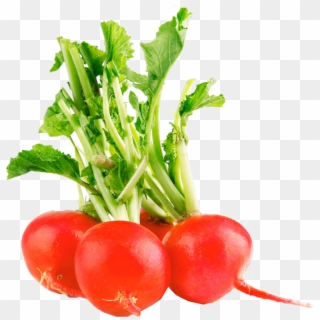 Radish Png Free Commercial Use Images - ผัก ผล ไม้ สี แดง Clipart