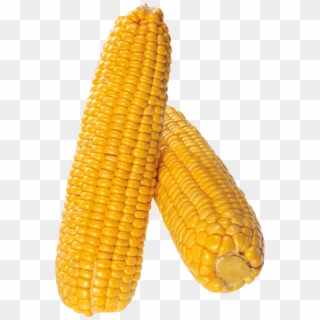 Corn Png Image - Portable Network Graphics Clipart