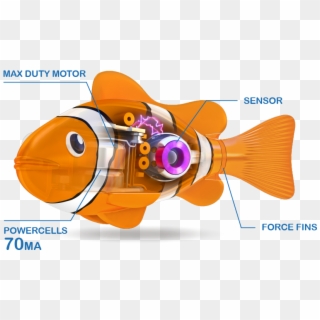 2/5 Real-life Pets - Blowfish Clipart