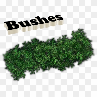 Bushes Png Images - Love Kamlesh Name Clipart