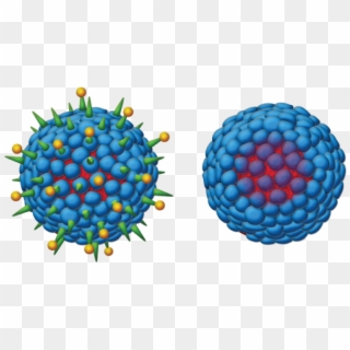 Second-generation Hepatitis B Vaccine - Hepatitis B Virus Png Clipart