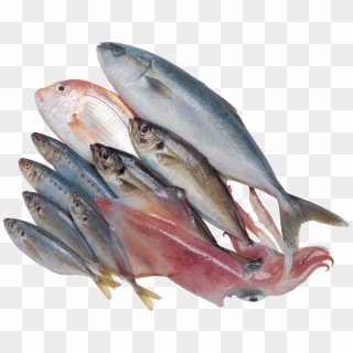 Fish Png - Free Png Fresh Fish Clipart