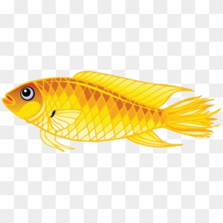 Рыба Пнг Clipart
