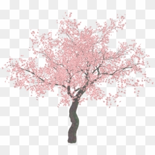 Cherry Blossom Trees Png Clipart