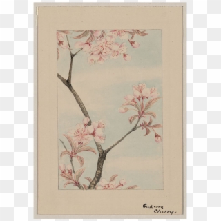 0 Replies 0 Retweets 0 Likes - Japanese Woodblock Cherry Blossom Clipart
