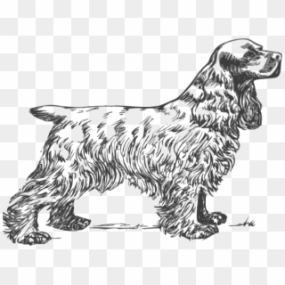 Golden Retriever Clipart Black And White - Cocker Spaniel Coloring Page - Png Download