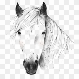 Penguin Drawing, Arts And Crafts Storage, Horse Drawings, - Drawn Horse Png Clipart