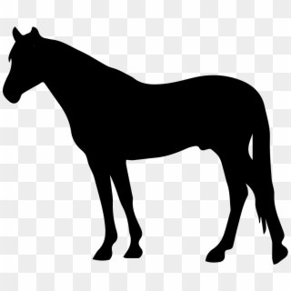 Horse Black Silhouette Facing To Left Svg Png Icon - Horse Silhouette Clipart Transparent Png