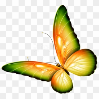 Free Png Download Yellow And Green Transparent Butterfly - Transparent Background Butterfly Clipart
