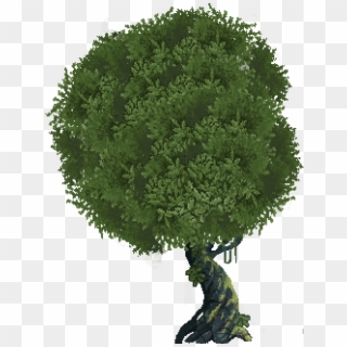 Whole-tree1 - Grass Clipart