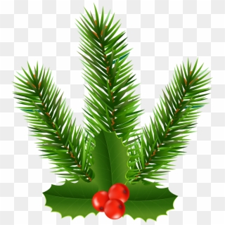 Pine Branch With Holly Clip Art Image - Christmas Tree - Png Download