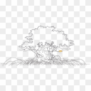 View Template - Mangrove Tree Drawing Clipart