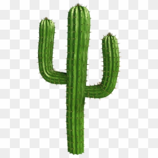 Saguaro Cactus Vector - Cactus Png Clipart