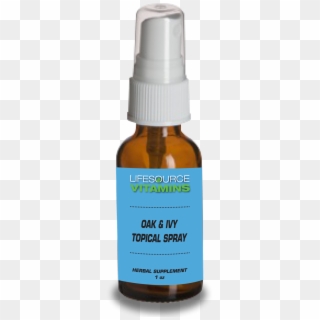 Oak & Ivy Spray - Glass Bottle Clipart