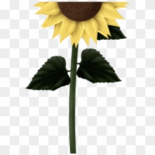 Sunflowers Clipart Cute - Sunflower Cute Transparent Background - Png Download