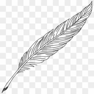 Quill Pen Drawing At Getdrawings - Pen And Ink Feather Drawing Clipart