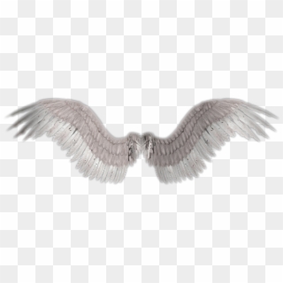 Clip Art Angel Wings Background - Angel Wings No Background - Png Download