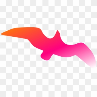 Bird Freedom Flying Orange Red Png Image Clipart