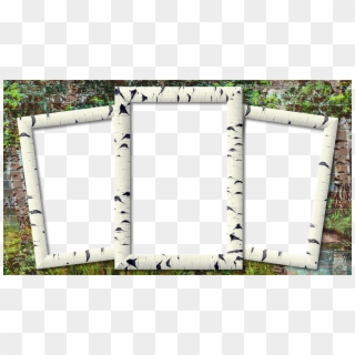 Frame, Photo Frame, Birch, Three Photo - Three Photo Frame Png Clipart