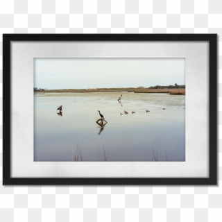 Ducks - Picture Frame Clipart