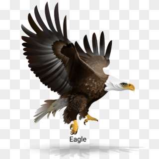 Posted By Eagle Vector Illustration At - Bald Eagle Clipart