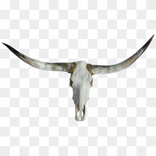 Texas Chairish - Skull Clipart