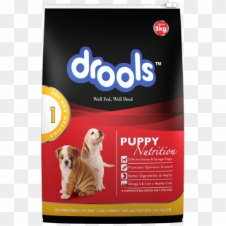 Focus - Drools Feed Clipart