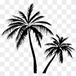 #palmeras - Coconut Tree Vector Png Clipart