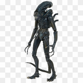 Alien Warrior 1/4 Scale Action Figure - Aliens Neca Xenomorph Warrior Clipart