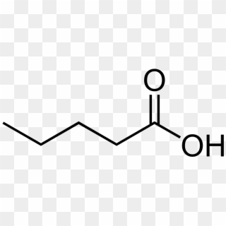 Valeric Acid Wikipedia - Pentanoic Acid Clipart