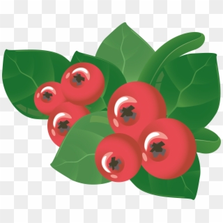 Berry Vector Leaf - Clip Art - Png Download