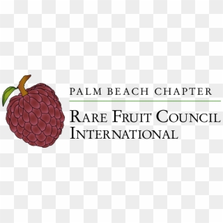 The Palm Beach Chapter Of The Rare Fruit Council International, - Illustration Clipart