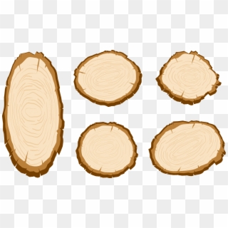 Wood Aastarxf Ngad Tree Vector Painted Sliced - Clipart Wood Slice Png Transparent Png