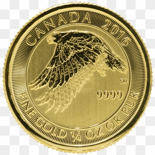 Gold Canadian Gyrfalcon 1/4 Oz - Canada 2016 1 4 Oz Gold Snow Falcon Clipart