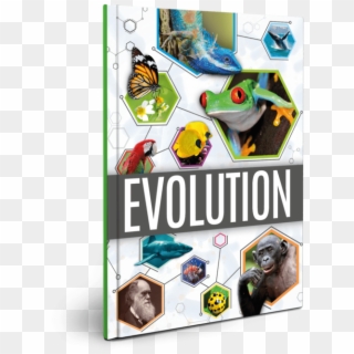 Evolution Transparent Ks2 - Graphic Design Clipart