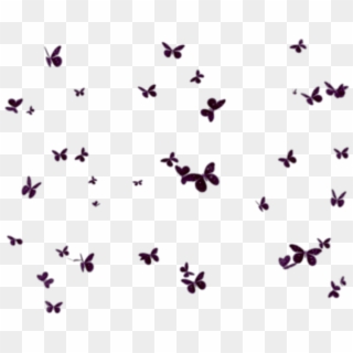 #butterflies #mariposas #mariposa #butterfly #group - Butterfly Clipart