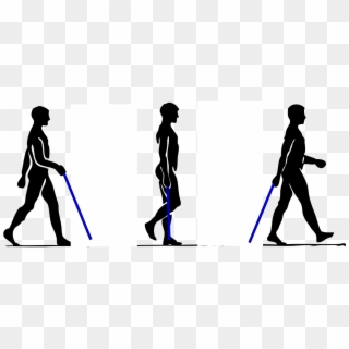 People Walking Walking Stick Png Image - Walk With A Walking Stick Clipart