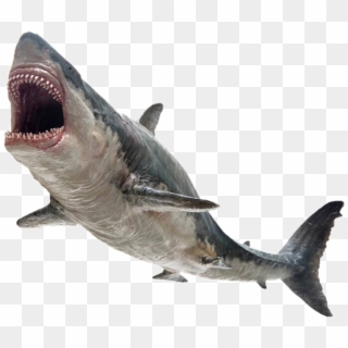 Freetoedit Shark Monster Killer Jaws - Pnso Megalodon Clipart
