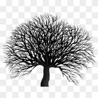 Free Png Download Black Tree Png Png Images Background - Transparent Background Black Tree Png Clipart