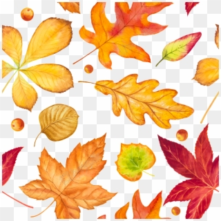 Hand Drawn Leaves Falling Free Download Ai - Fallen Leaves Autumn Drawing Clipart
