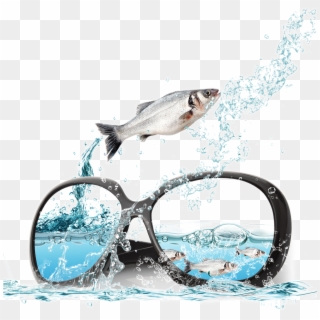 And Sunglasses Poster Fish Ocean Advertising In Clipart - Glasses - Png Download