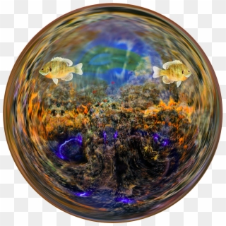 Fish Aquarium Water Glass Ball Png Image - Circle Clipart