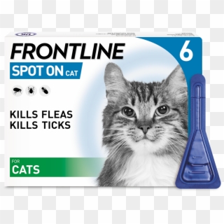 Frontline Flea Spot On Cat - Frontline Spot On For Nursing Dog Clipart