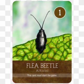 Firefly Clipart
